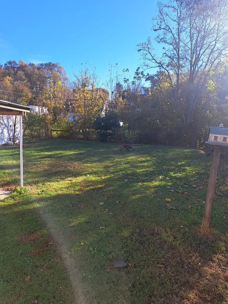 1008 Honeysuckle Lane Byrdstown TN 38549