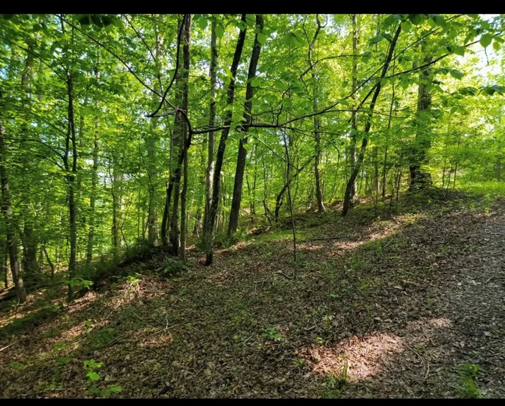 Lot 43 Shetland Trace Sparta TN 38583
