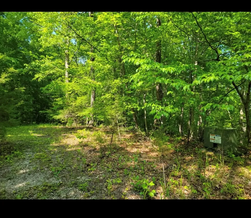 Lot 43 Shetland Trace Sparta TN 38583