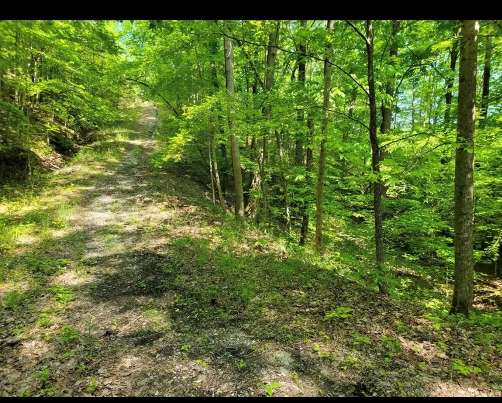 Lot 43 Shetland Trace Sparta TN 38583