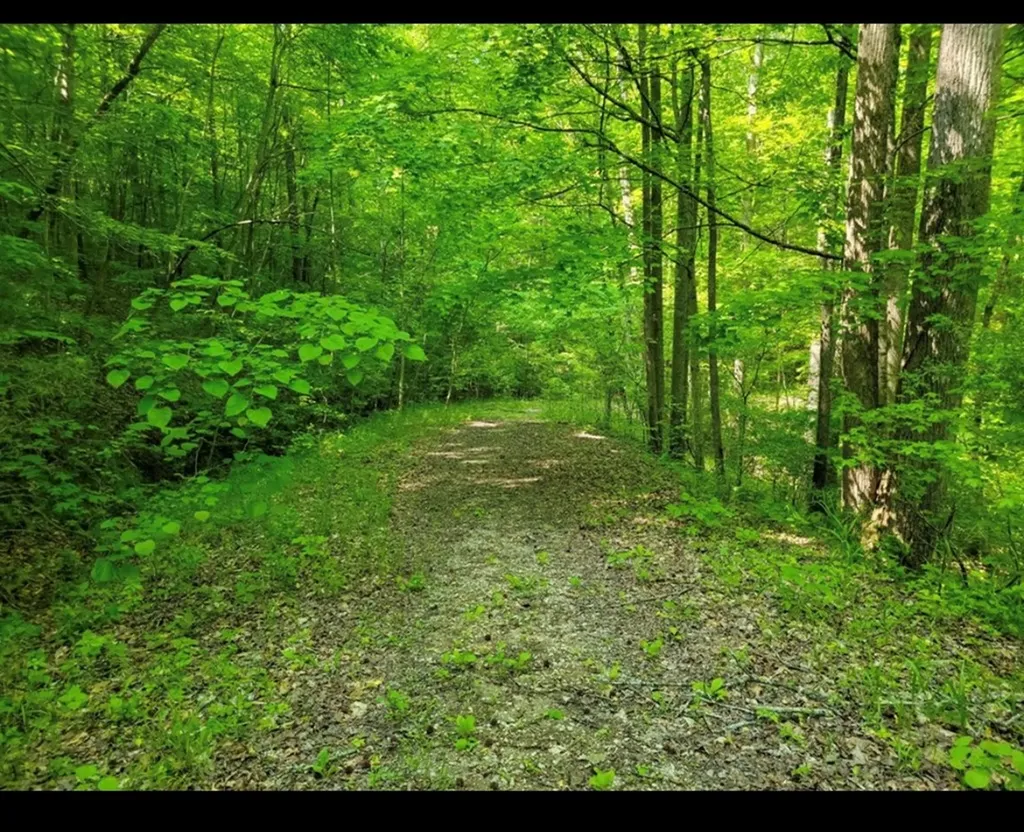 Lot 43 Shetland Trace Sparta TN 38583