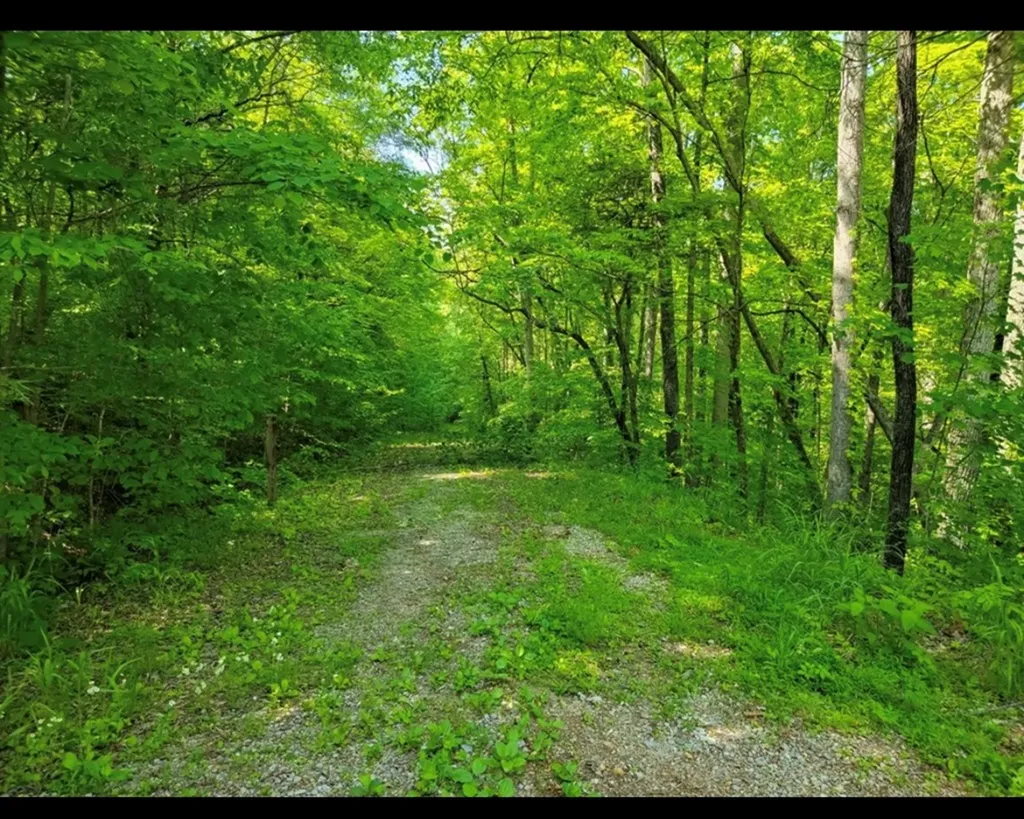 Lot 43 Shetland Trace Sparta TN 38583