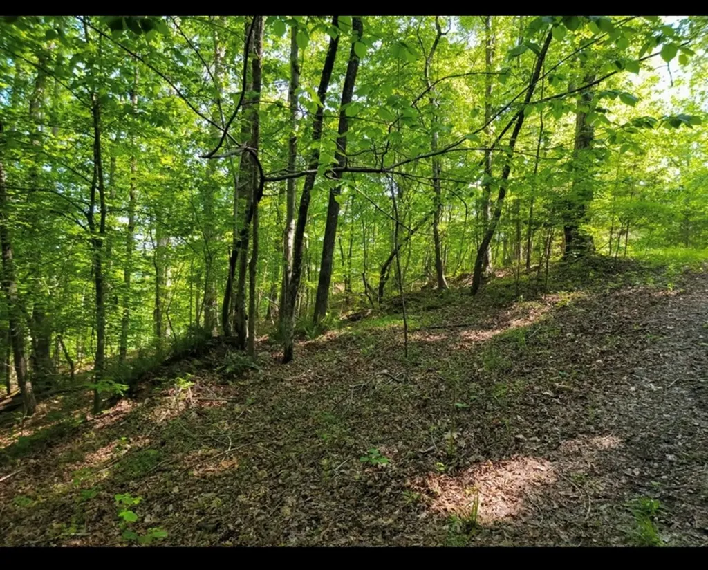 Lot 43 Shetland Trace Sparta TN 38583