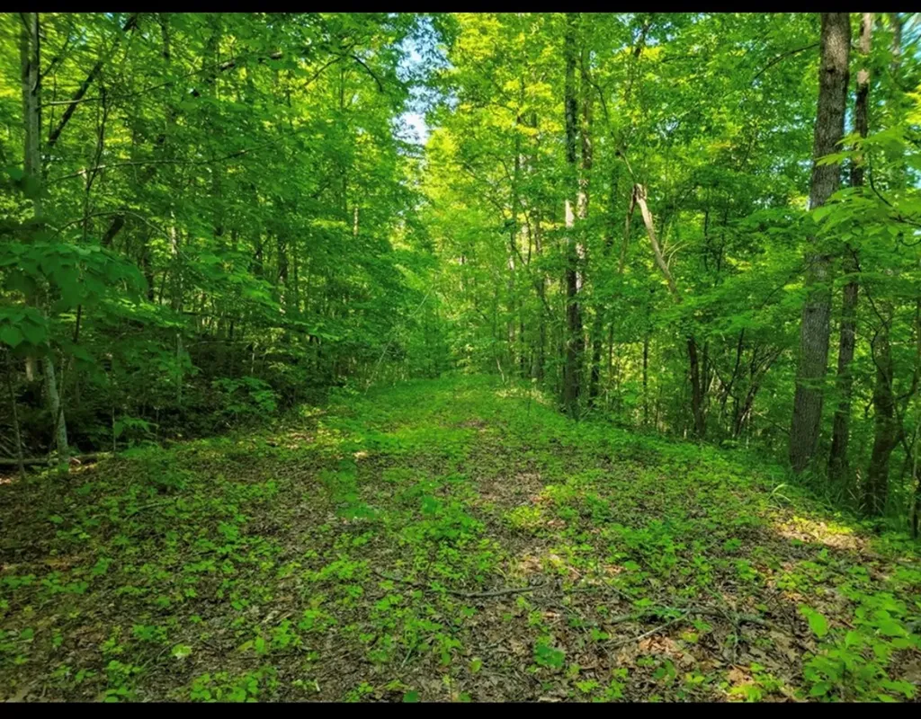 Lot 43 Shetland Trace Sparta TN 38583