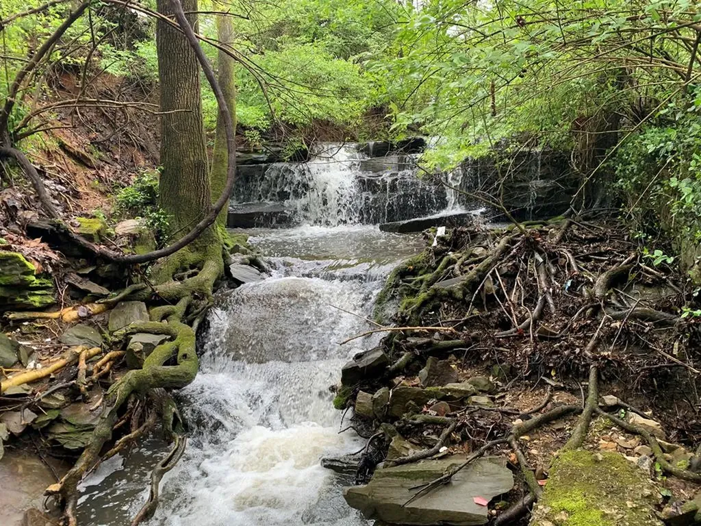 600 Freeze Street Cookeville TN 38501