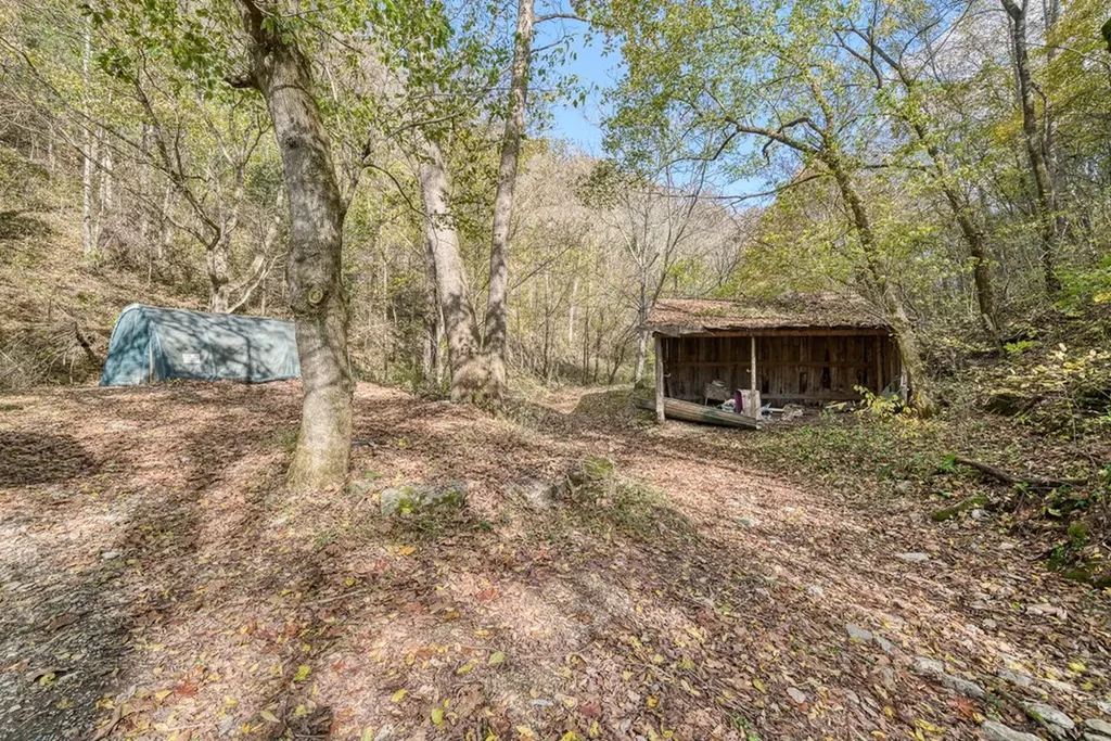 2087 Add Stafford Road Hilham TN 38568