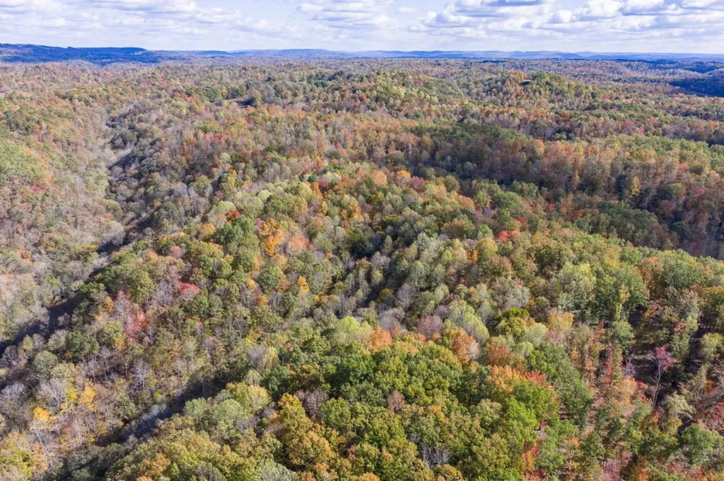 2087 Add Stafford Road Hilham TN 38568