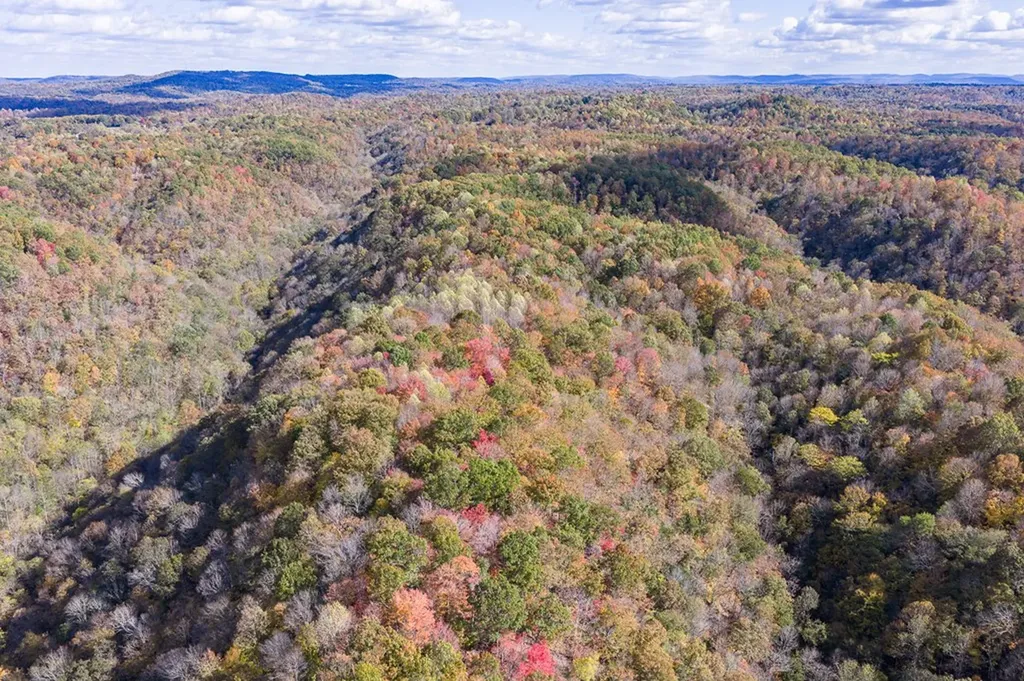 2087 Add Stafford Road Hilham TN 38568