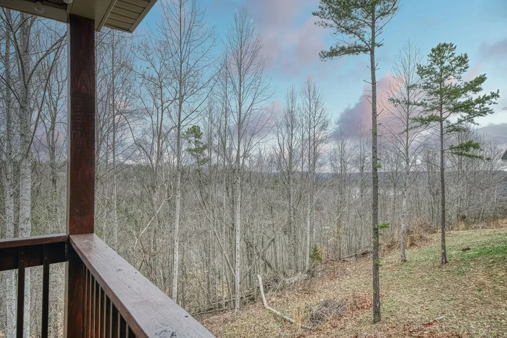 225 Antler Drive Smithville TN 37166