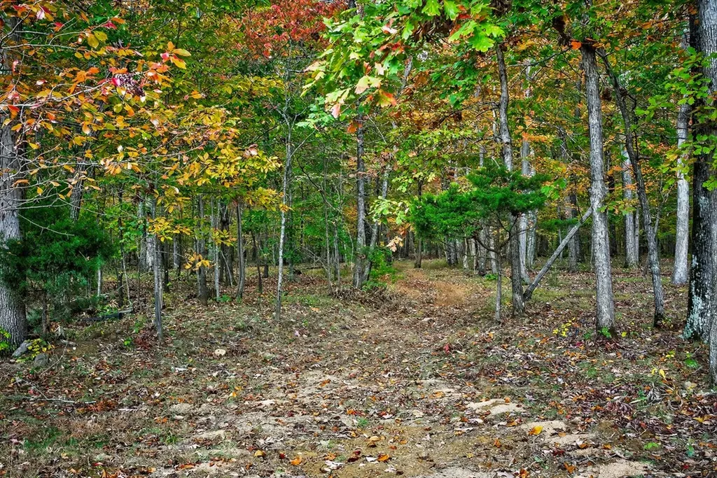 900 Brotherton Drive Cookeville TN 38506