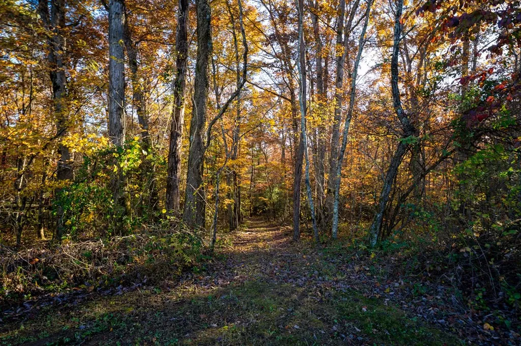 1090 Old Sunbright Road Jamestown TN 38556