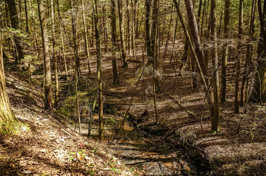 1090 Old Sunbright Road Jamestown TN 38556