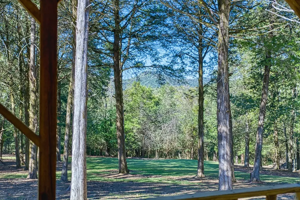 1582 Spring Fork Road Granville TN 38564