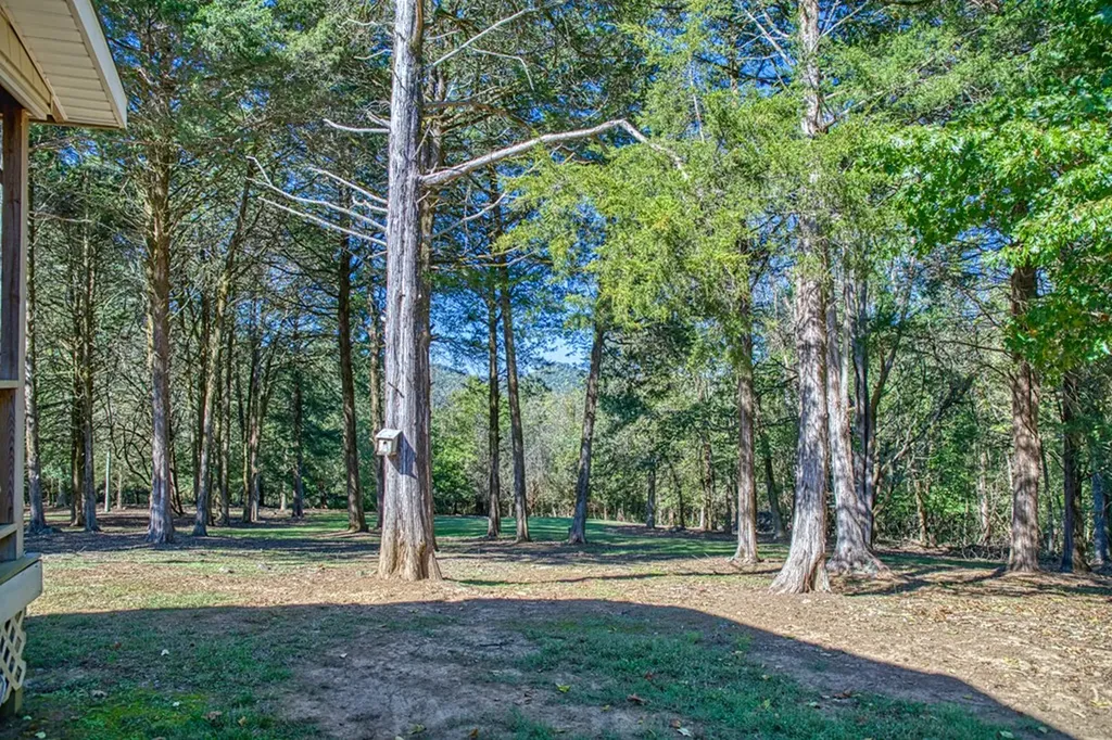 1582 Spring Fork Road Granville TN 38564