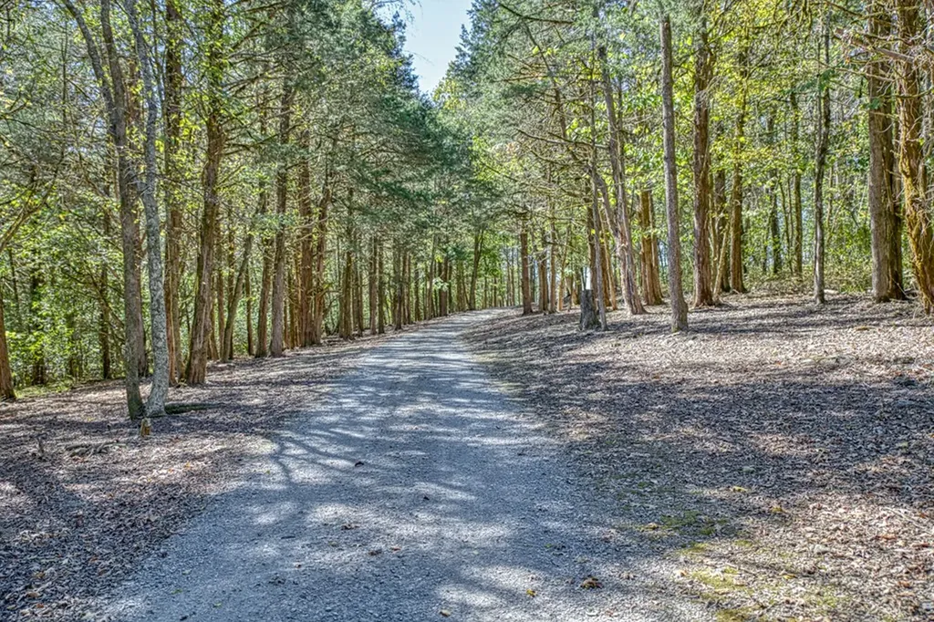 1582 Spring Fork Road Granville TN 38564