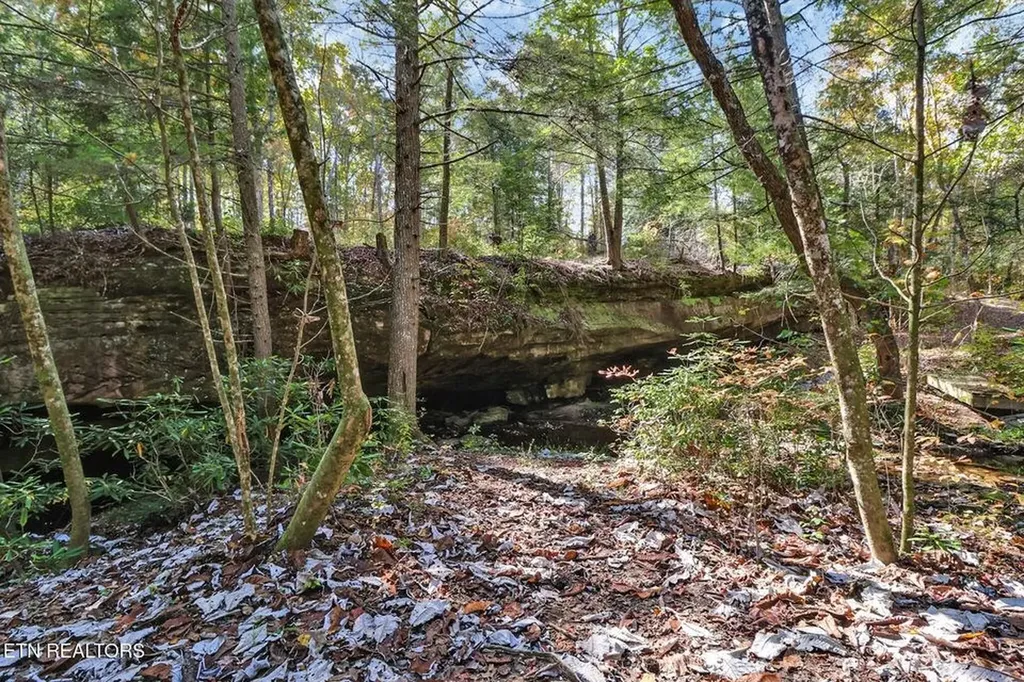 232 Victoria Circle Jamestown TN 38556-5178