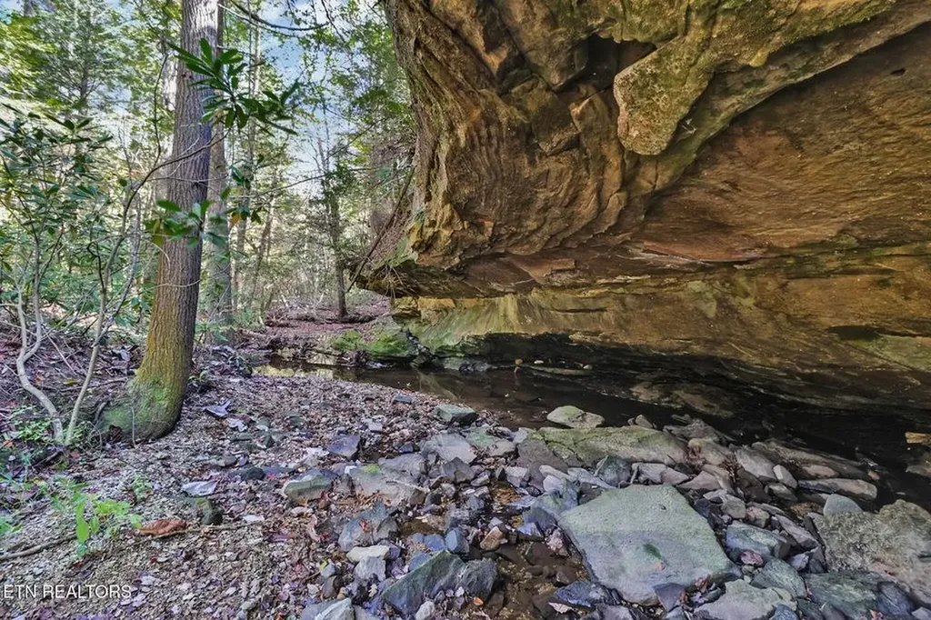 232 Victoria Circle Jamestown TN 38556-5178