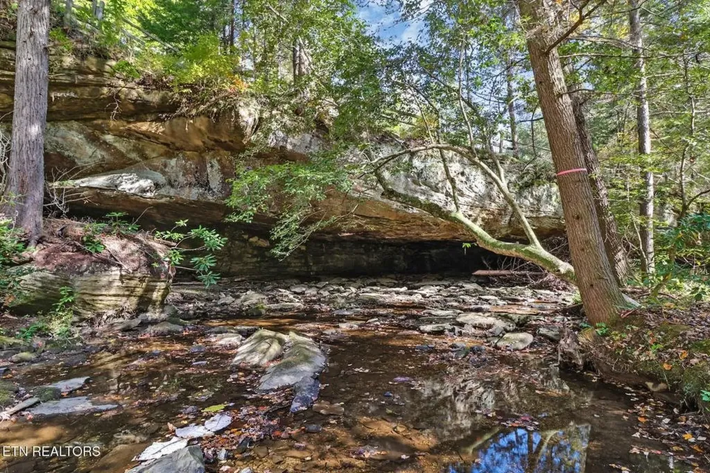 232 Victoria Circle Jamestown TN 38556-5178