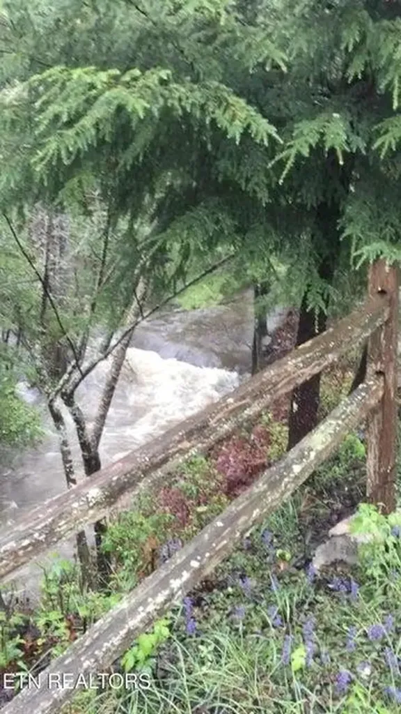 232 Victoria Circle Jamestown TN 38556-5178