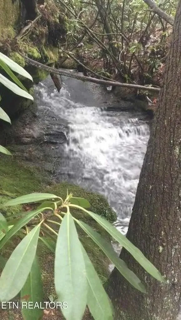 232 Victoria Circle Jamestown TN 38556-5178