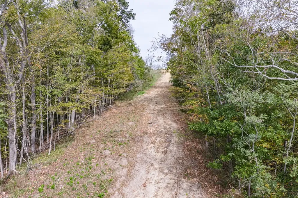 7.4 Ac Helms Hollow Road Silver Point TN 38582