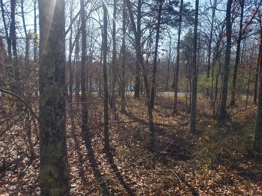 Lot 44 Hemlock Lane Spencer TN 38585