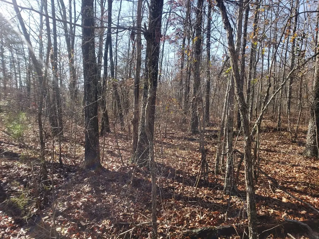 Lot 44 Hemlock Lane Spencer TN 38585