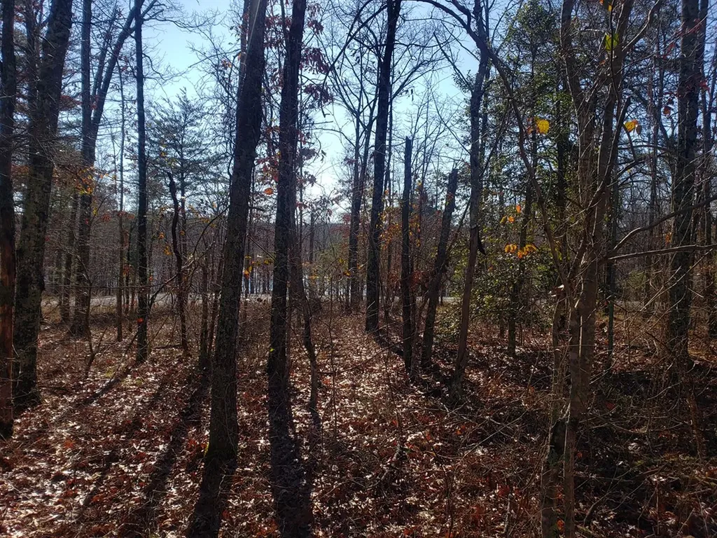 Lot 44 Hemlock Lane Spencer TN 38585