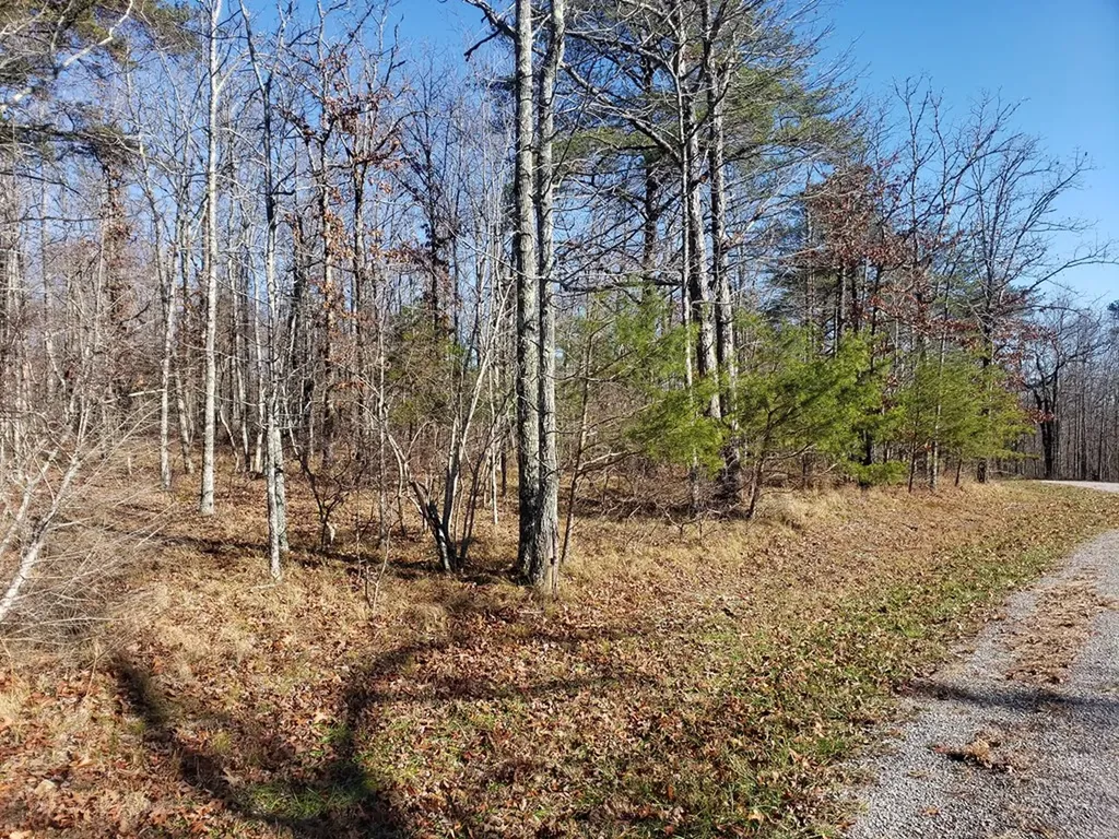 Lot 44 Hemlock Lane Spencer TN 38585