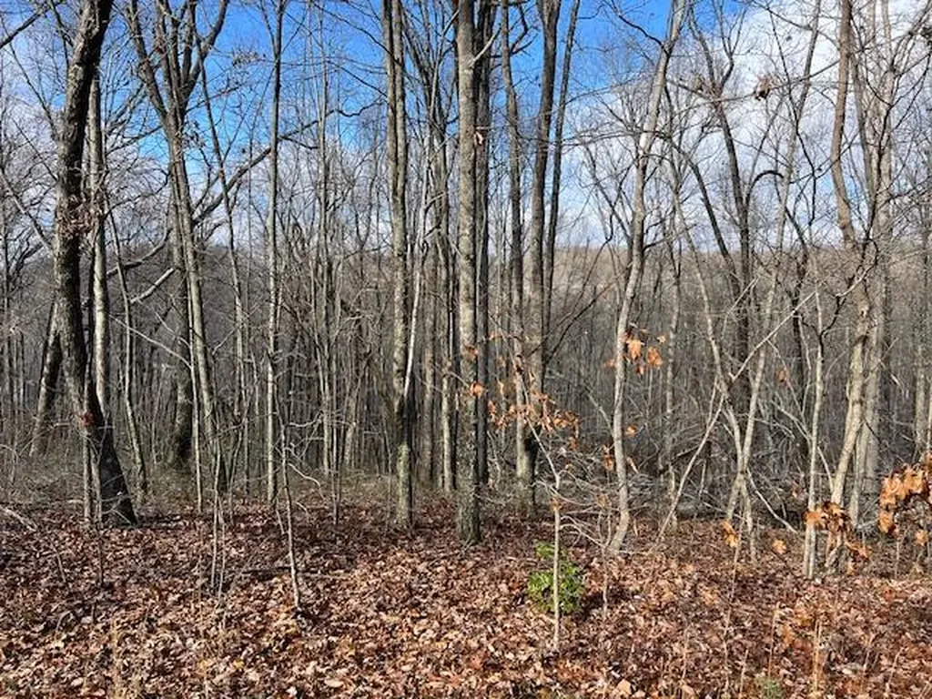 Belmont Belmont Monterey TN 38574