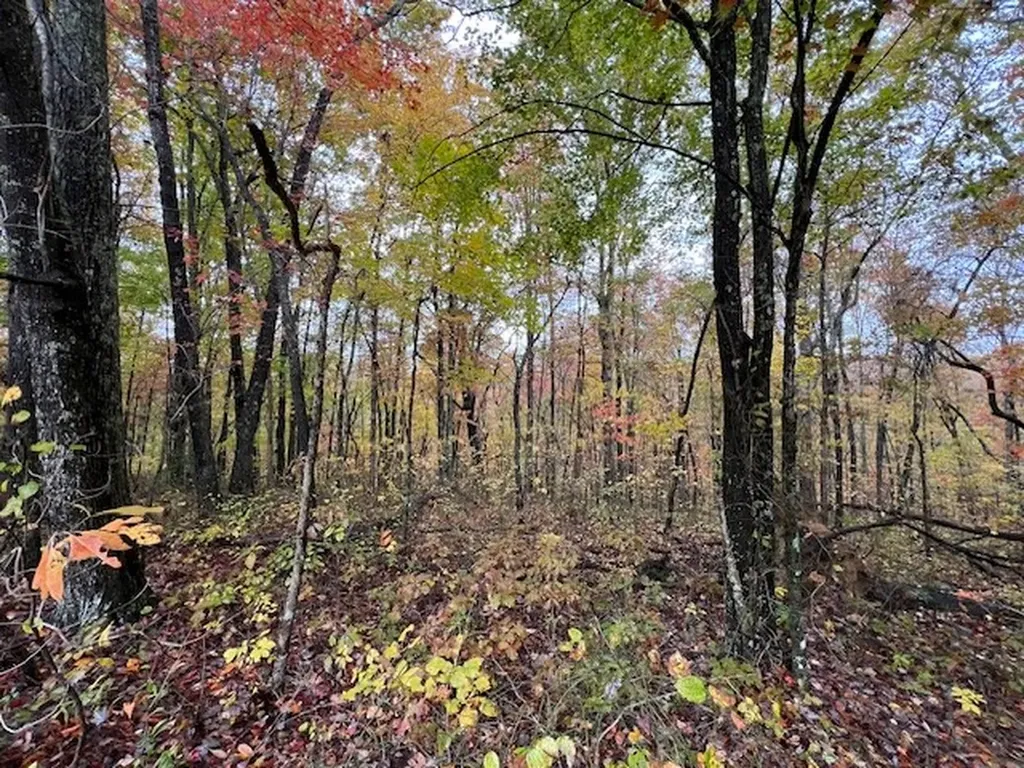 Belmont Belmont Monterey TN 38574