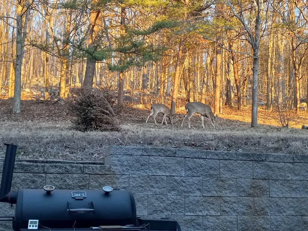 1434 N Plantation Drive Cookeville TN 38506