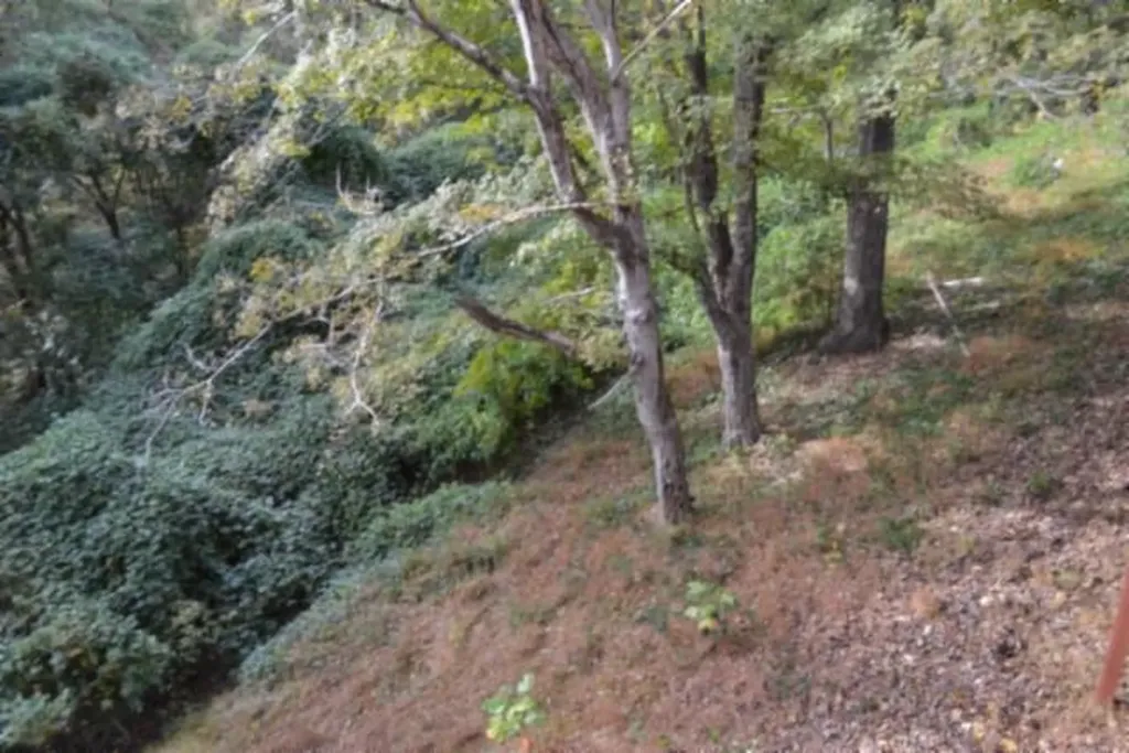 450 Cedar Hill Road Celina TN 38551