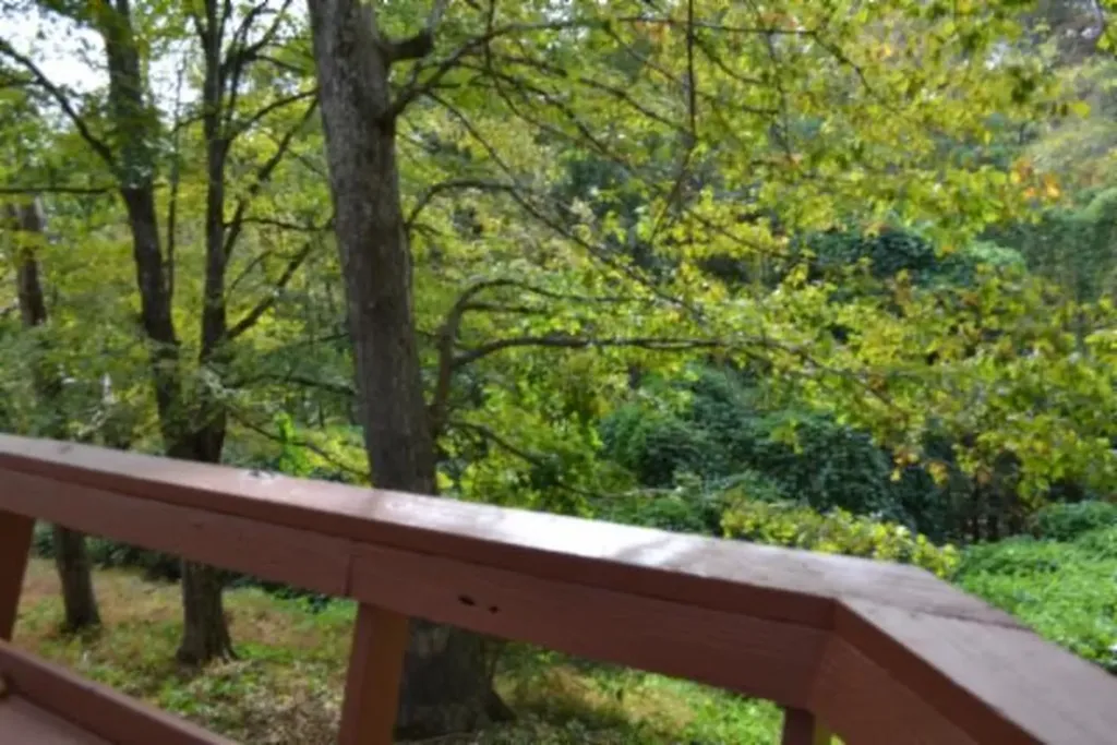 450 Cedar Hill Road Celina TN 38551