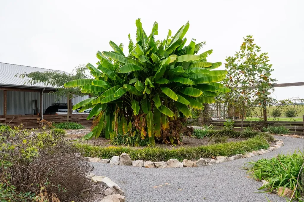 495 Worley Road Doyle TN 38559