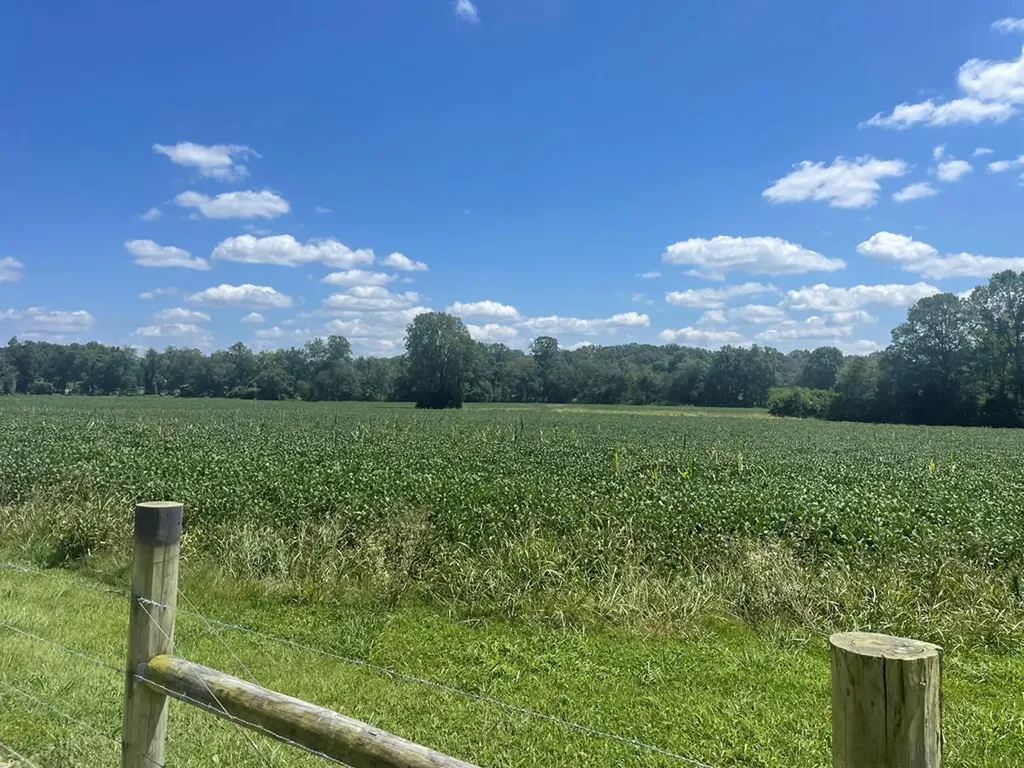25 Ac Ditty Road Cookeville TN 38506