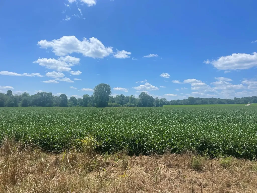 25 Ac Ditty Road Cookeville TN 38506