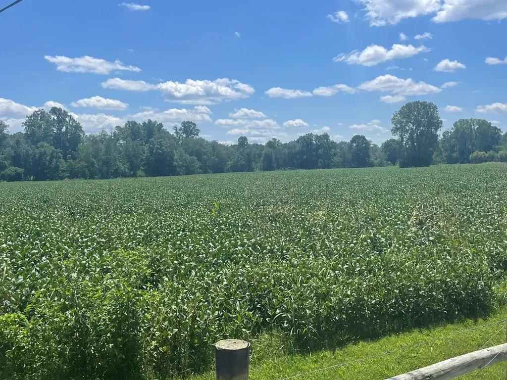 25 Ac Ditty Road Cookeville TN 38506
