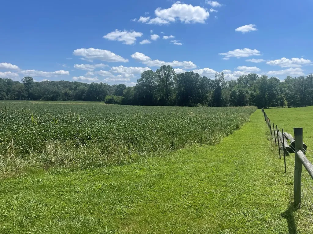 25 Ac Ditty Road Cookeville TN 38506