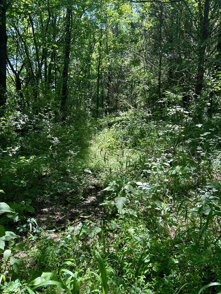 3045 Gladdice Highway Gainesboro TN 38562