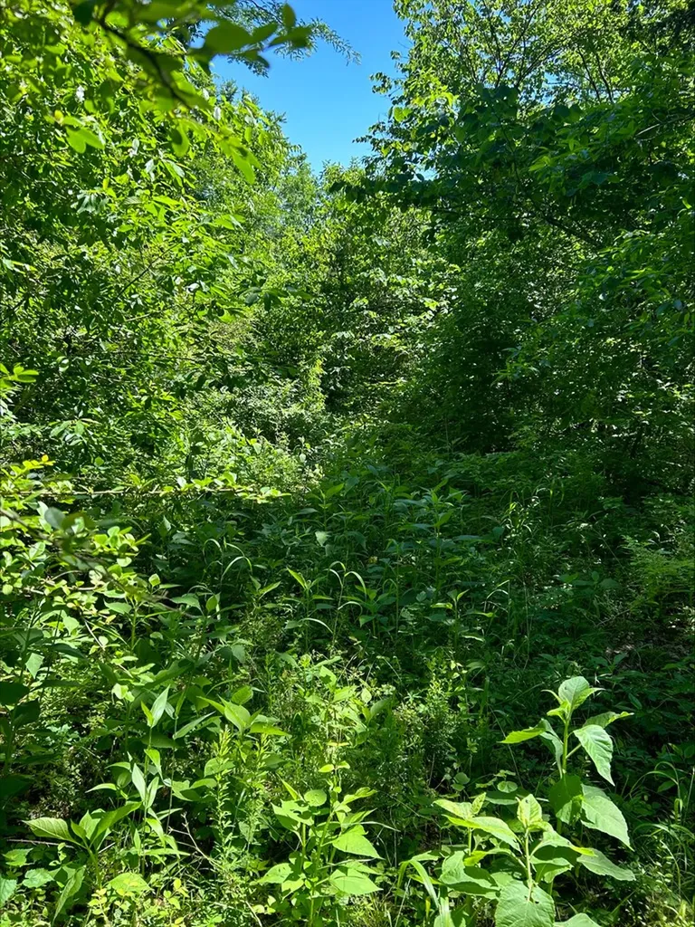 3045 Gladdice Highway Gainesboro TN 38562