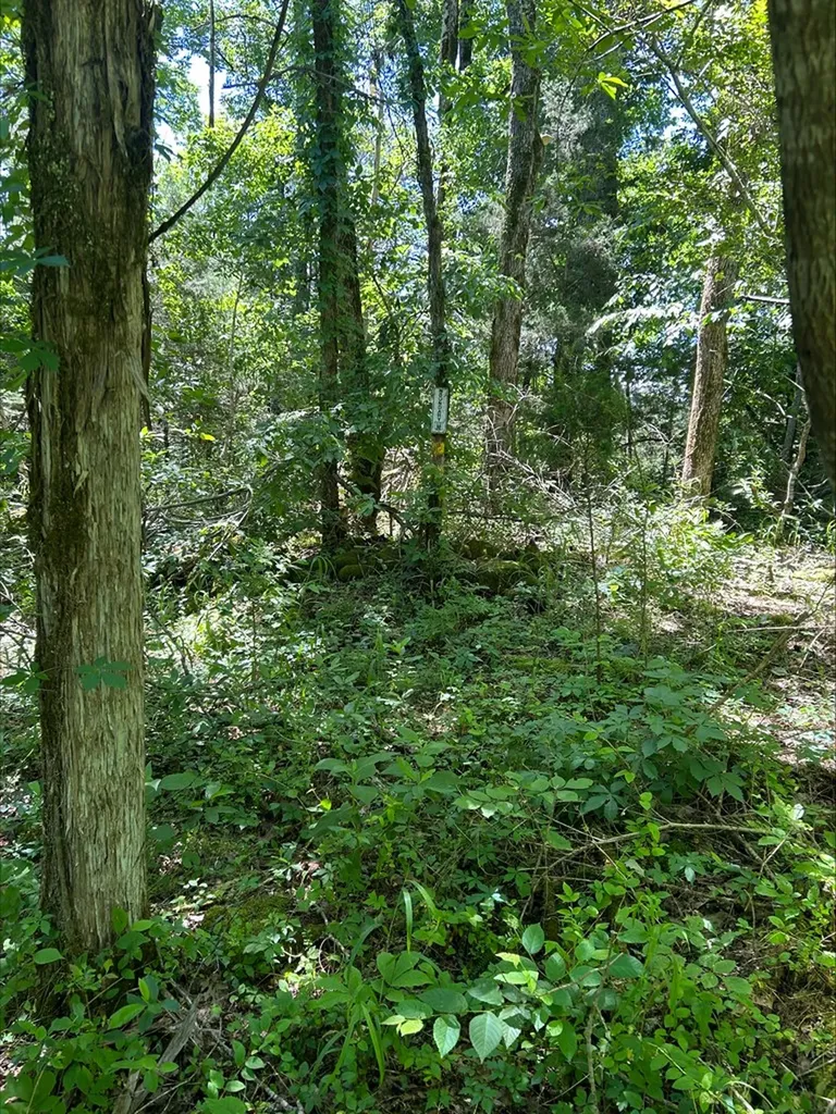 3045 Gladdice Highway Gainesboro TN 38562