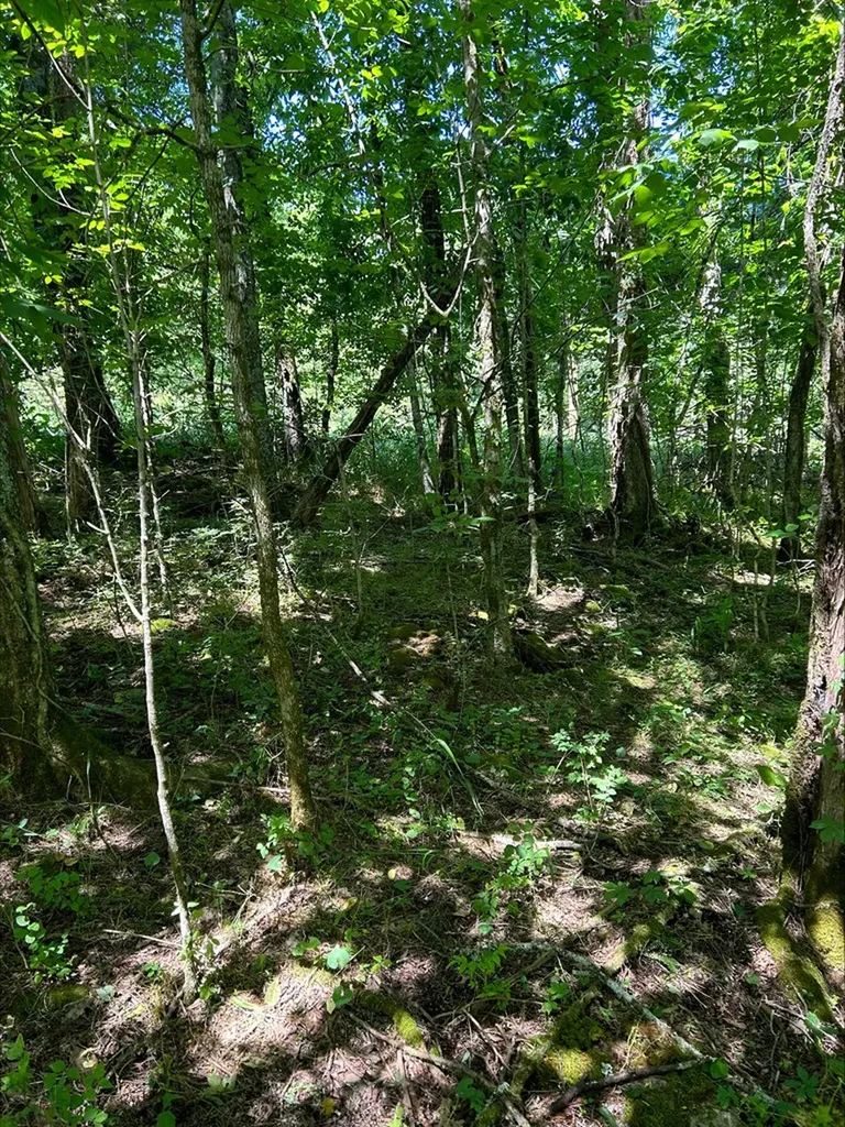 3045 Gladdice Highway Gainesboro TN 38562