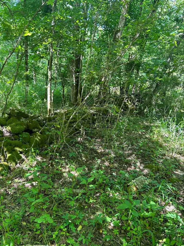 3045 Gladdice Highway Gainesboro TN 38562