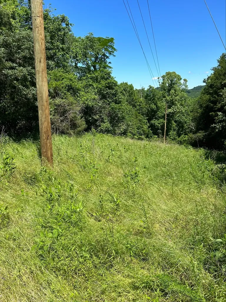 3045 Gladdice Highway Gainesboro TN 38562