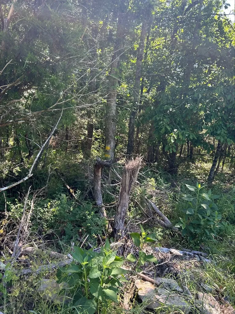 3045 Gladdice Highway Gainesboro TN 38562