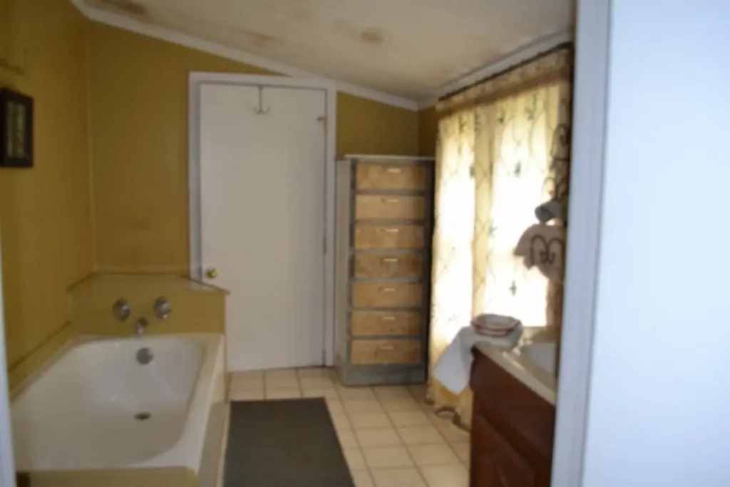 218 E Lake Avenue Celina TN 38551