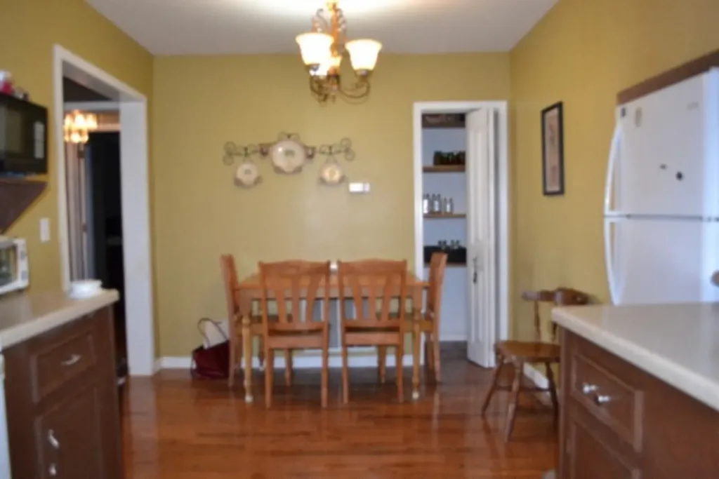 218 E Lake Avenue Celina TN 38551