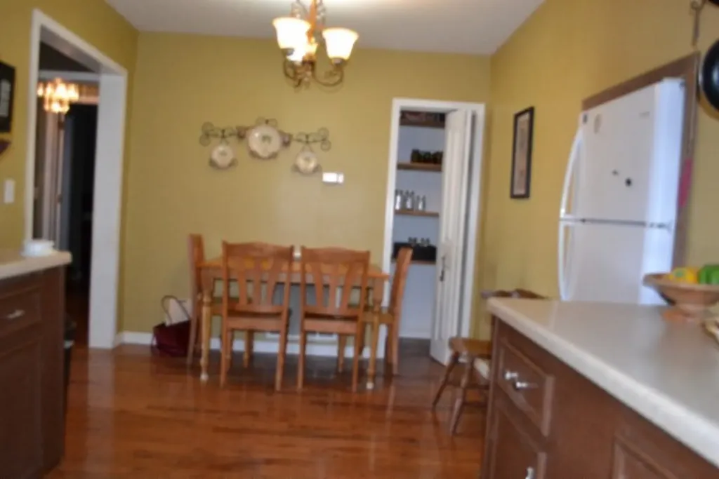 218 E Lake Avenue Celina TN 38551