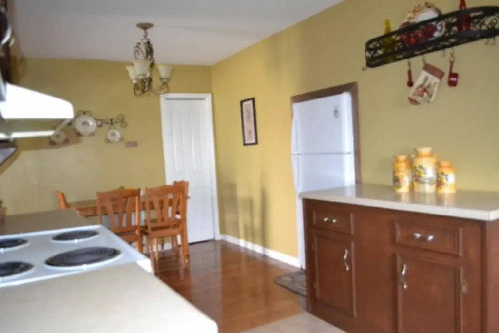 218 East Lake Avenue Celina TN 38551